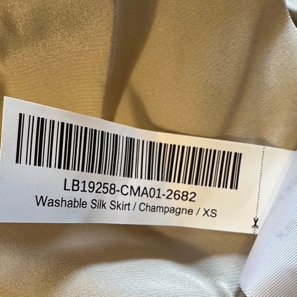Quince Washable Silk Champagne Midi Skirt - XS - With Tags - Picture 2 of 6